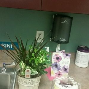 Meet your Posher, Elizabeth